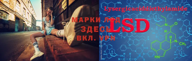 Лсд 25 экстази ecstasy  Злынка 